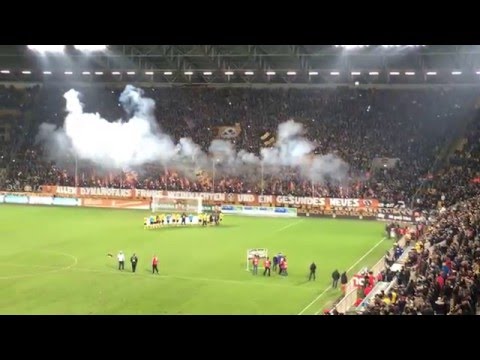 Dynamo Dresden 17.12.2015