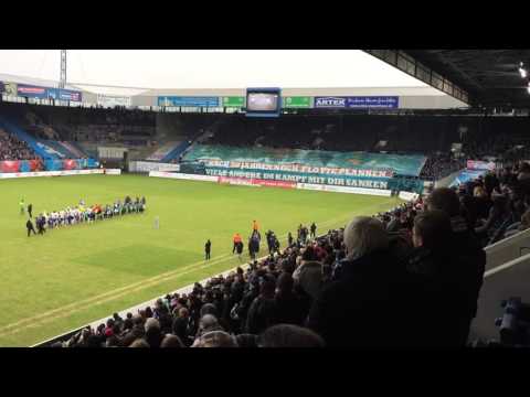Hansa Rostock 50 Jahre Geburtstags Choreo 30.1.2016 23. Spieltag 3. Liga VfL Osnabrück